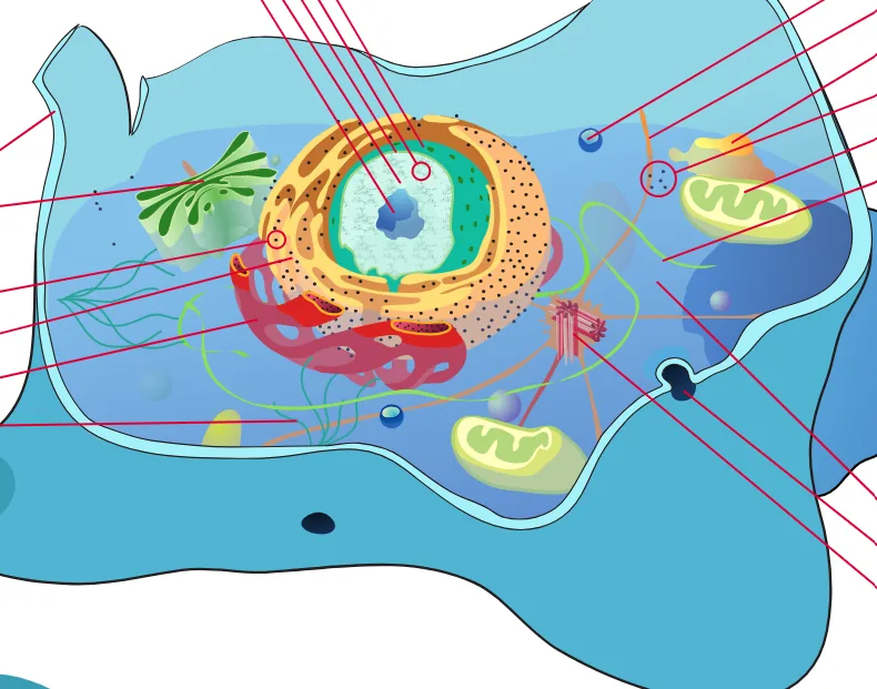 Genetics & DNA learning module preview